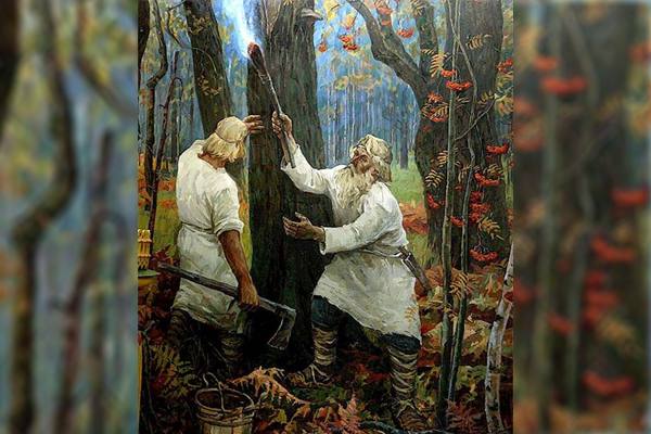 Собирают мед